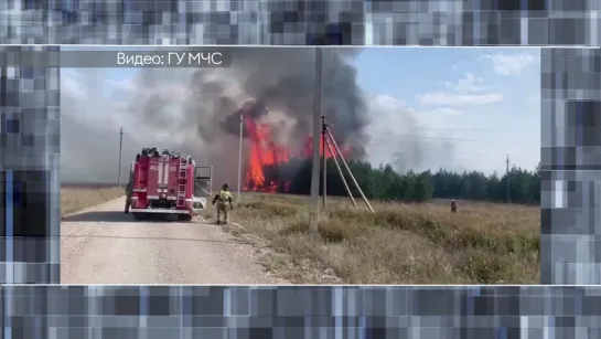 В Альметьевском районе горел лес на площади в 5,5 тыс. кв. метров