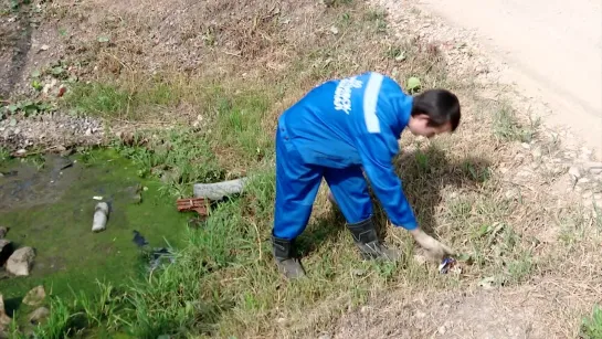 Отдыхающие замусорили альметьевское водохранилище