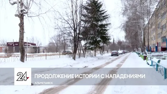 Пострадавших от нападений в Альметьевске просят обратиться в полицию