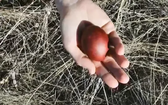 ПАСХА. Орский Иверский женский монастырь