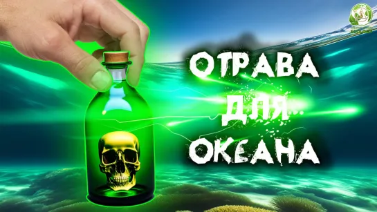 Океан на грани гибели | Интервью с профессором Еленой Севрюковой