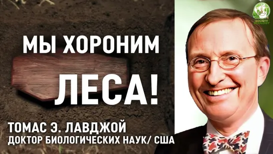 Вырубка лесов Амазонии – какие последствия для будущего человечества? | Томас Э. Лавджой, США