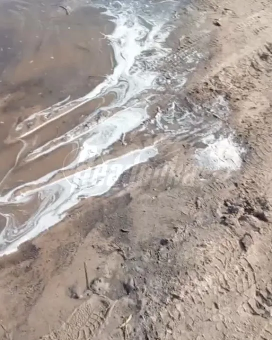 В Курганской области продолжает повышаться уровень воды — в реке Тобол за ночь он увеличился на 23 см