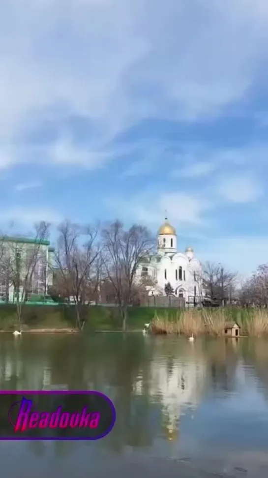 В Тирасполе собака захотела устроить себе царский ужин — она поймала лебедя в городском пруду и понесла к столу