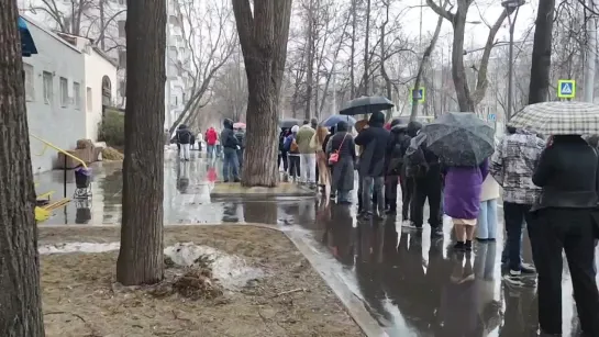 Несмотря на дождь и плохую погоду, очереди, чтобы сдать кровь, только растут