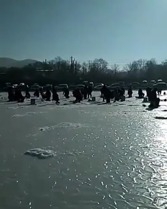 Видео от Просто о рыбалке