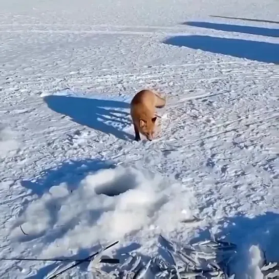 Видео от Просто о рыбалке