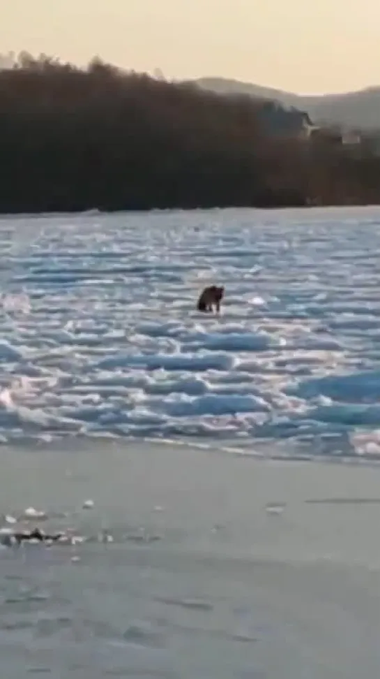 Видео от Просто о рыбалке