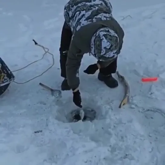 Видео от Просто о рыбалке