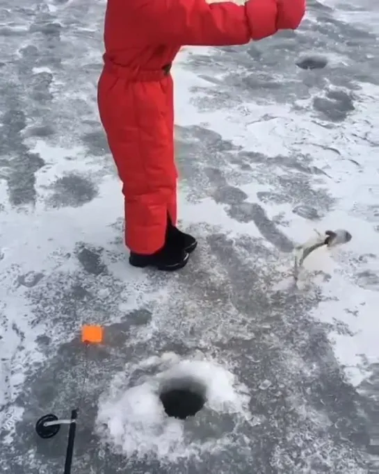 Видео от Просто о рыбалке