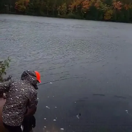 Видео от Просто о рыбалке