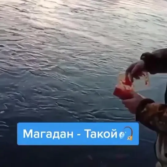 Видео от Просто о рыбалке