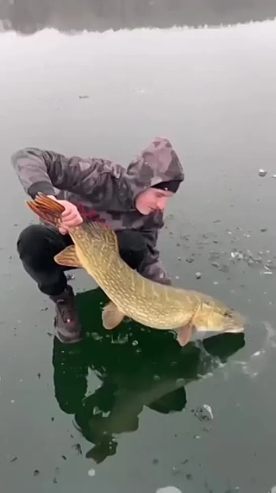 Видео от Просто о рыбалке