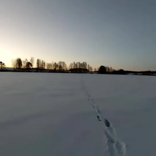 Видео от Просто о рыбалке