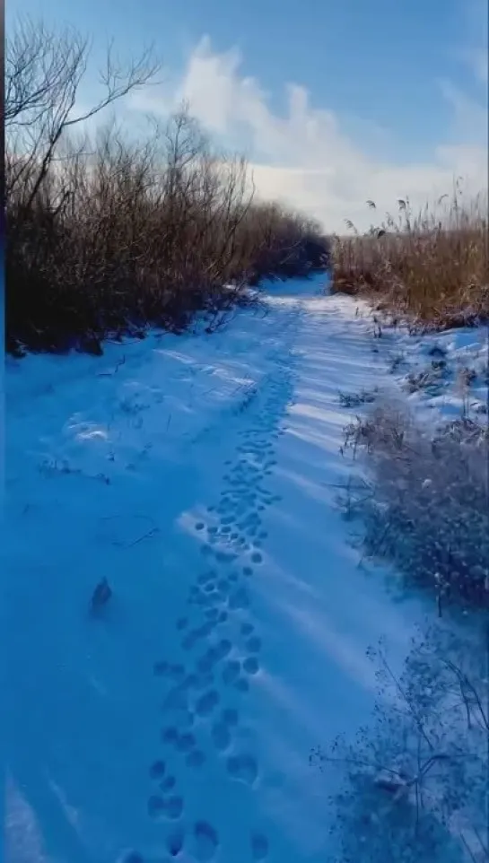 Видео от Просто о рыбалке