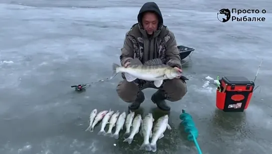 Видео от Просто о рыбалке