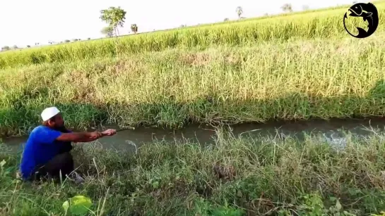 Видео от Просто о рыбалке