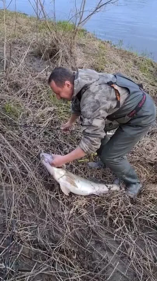 Видео от Просто о рыбалке