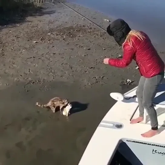 Видео от Просто о рыбалке