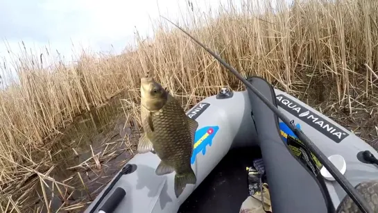 Видео от Просто о рыбалке