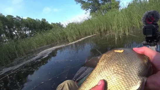 Видео от Просто о рыбалке