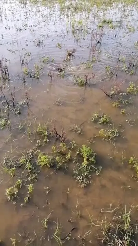 Видео от Просто о рыбалке