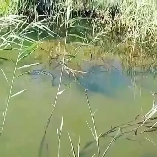 Видео от Просто о рыбалке