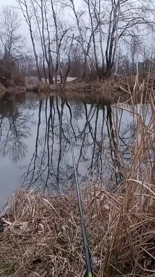 Видео от Просто о рыбалке