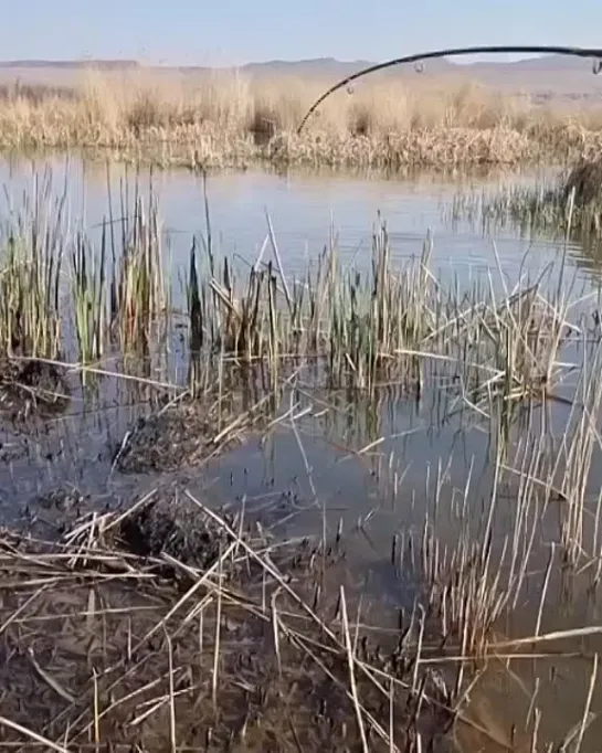 Видео от Просто о рыбалке