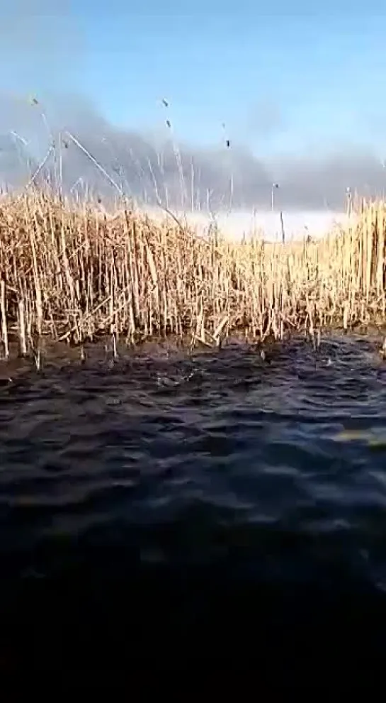 Видео от Просто о рыбалке