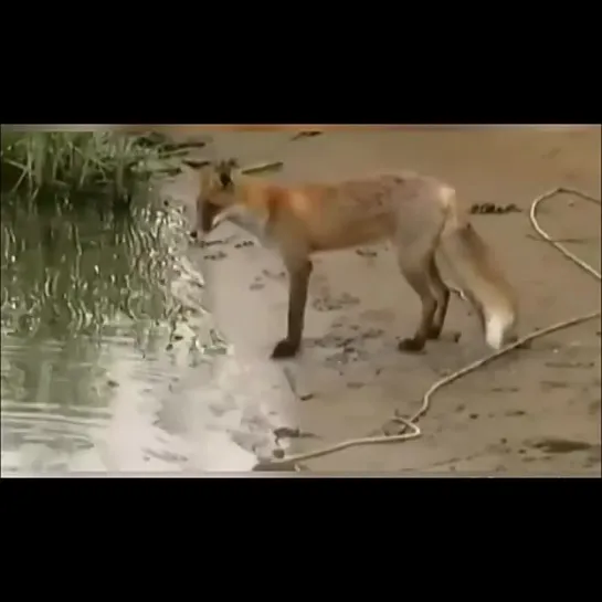 Видео от Просто о рыбалке