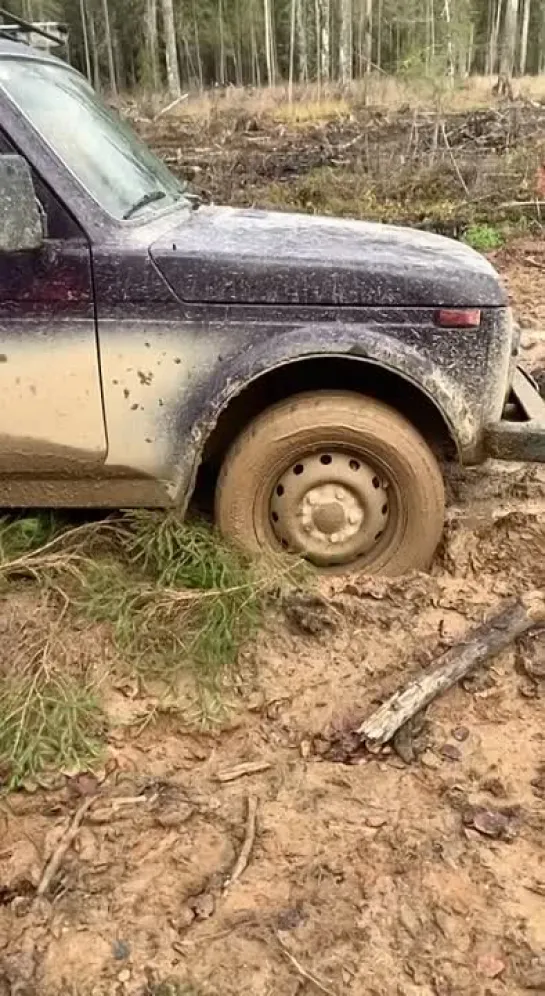 Видео от Просто о рыбалке