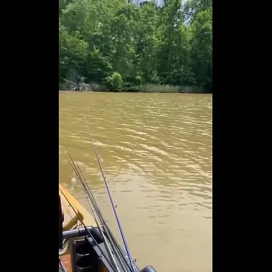 Видео от Просто о рыбалке