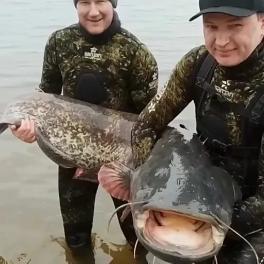 Видео от Просто о рыбалке