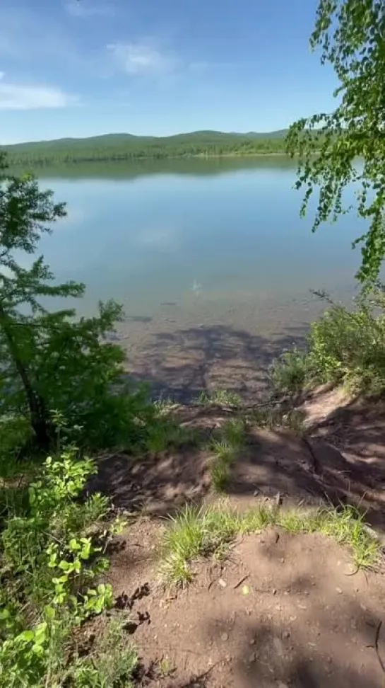 Видео от Просто о рыбалке