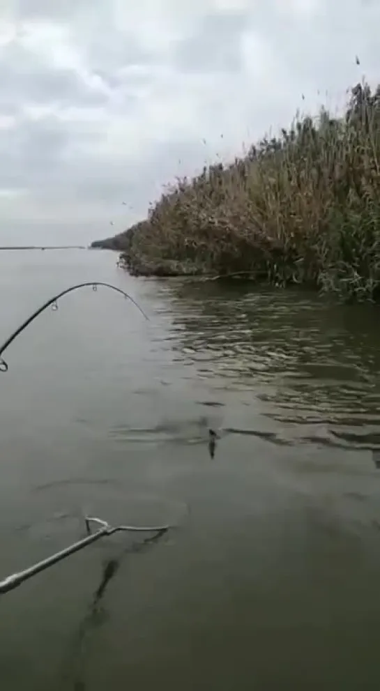 Видео от Просто о рыбалке