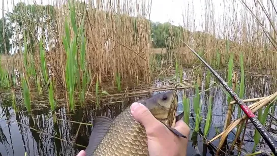 Видео от Просто о рыбалке