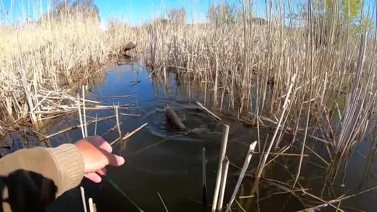 Видео от Просто о рыбалке