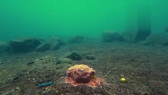 Видео от Просто о рыбалке