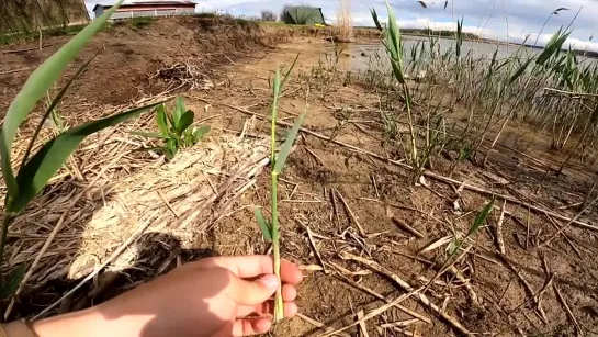 Видео от Просто о рыбалке