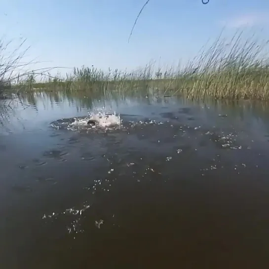 Видео от Просто о рыбалке