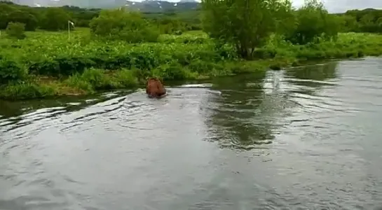 Видео от Просто о рыбалке