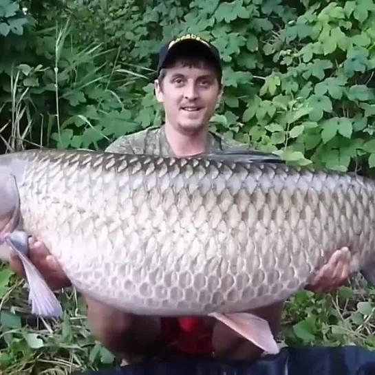 Видео от Просто о рыбалке