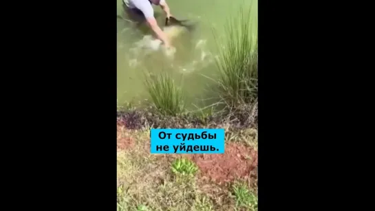 Видео от Просто о рыбалке