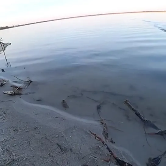 Видео от Просто о рыбалке