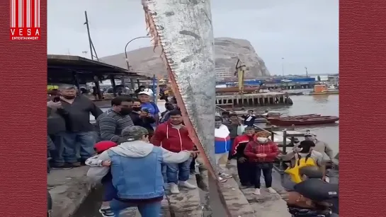 Видео от Просто о рыбалке