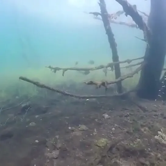 Видео от Просто о рыбалке