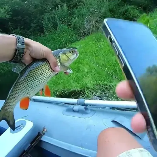 Видео от Просто о рыбалке