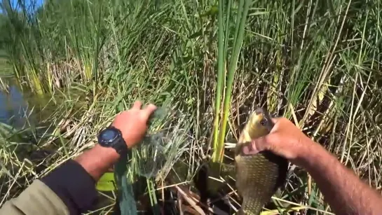 Видео от Просто о рыбалке