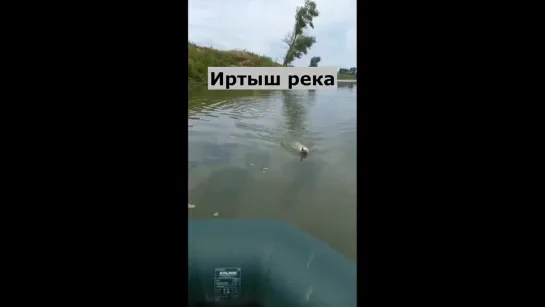 Видео от Просто о рыбалке